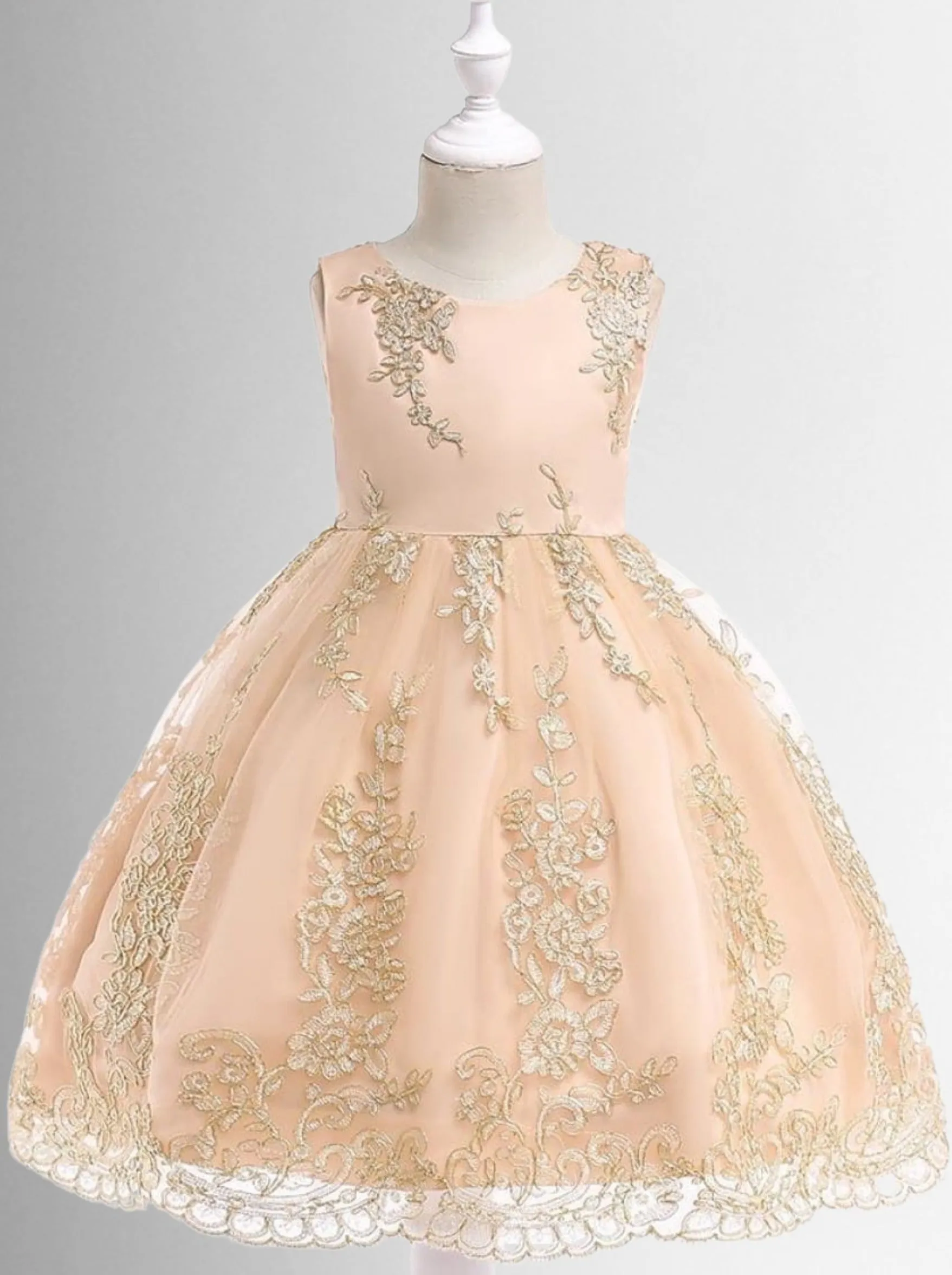 Champagne Gold Embroidered Special Occasion Dress