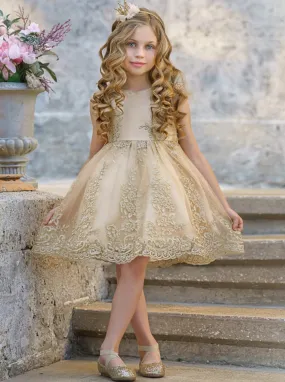 Champagne Gold Embroidered Special Occasion Dress