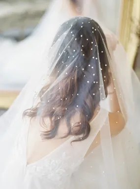 GLAMOUR | Cathedral Wedding Veil with Crystals